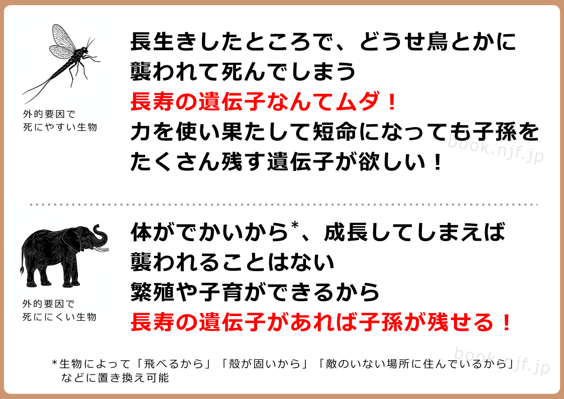 外的要因と寿命の図